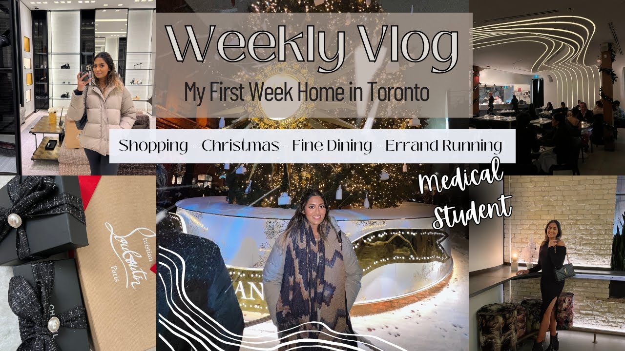 Toronto Holiday Break: Week 1 Journey of a Caribbean Medical Student Home for Winter Adventures