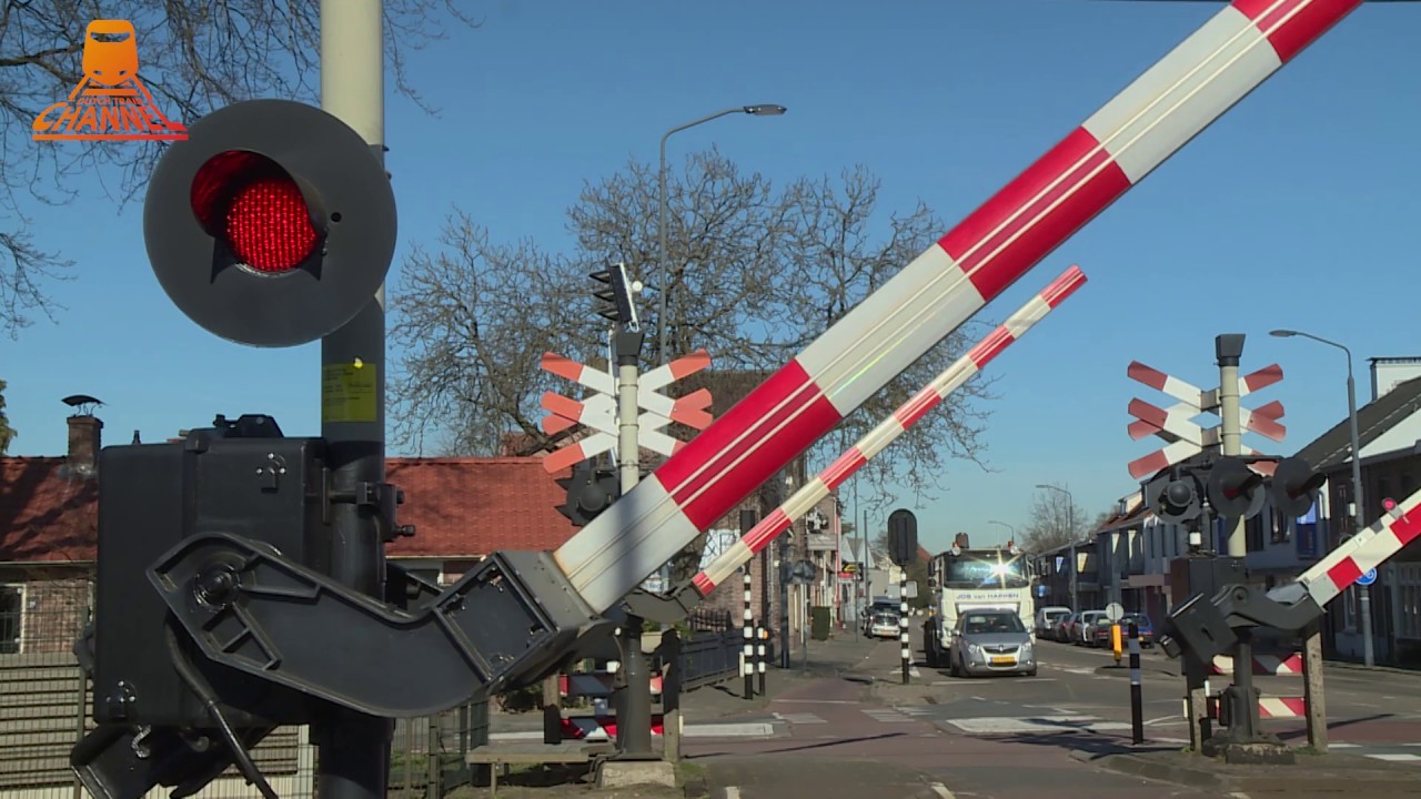 DUTCH RAILROAD CROSSING - 😎 LONG VIDEO 😎 - Helmond   Mierloseweg - Railcam Netherlands 🚂