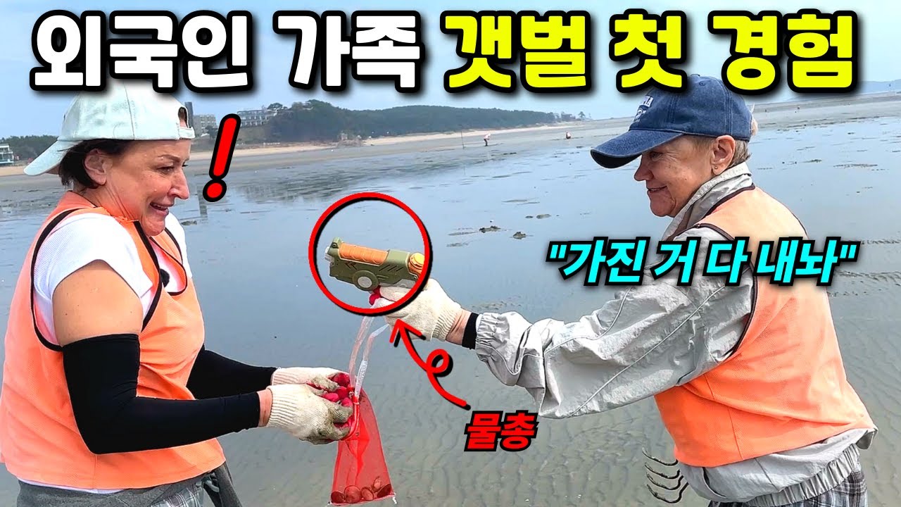 처음 간 갯벌에서 조개가 안 나오자 화가 많이 나신 외국인 할머니, 결국ㅋㅋㅋ 머드 맥스: 분노의 갯벌