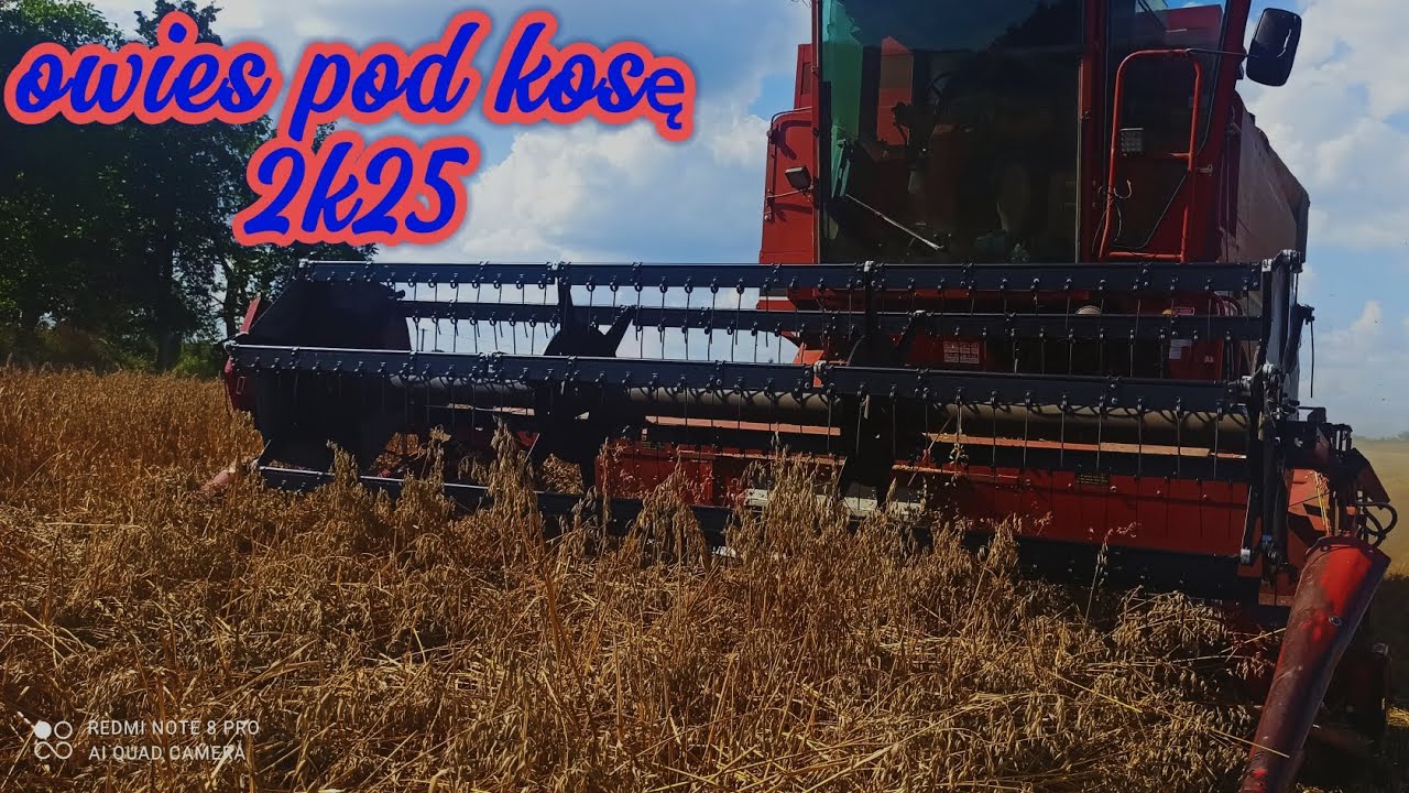 Owies pod kosę 2k25 Case 1440 axial flow