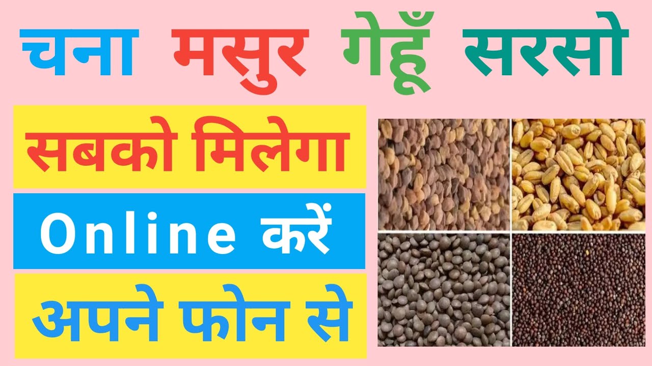 Bihar beej Anudan 2024 / Beej Anudan Online 2024 / Beej Anudan Apply Online