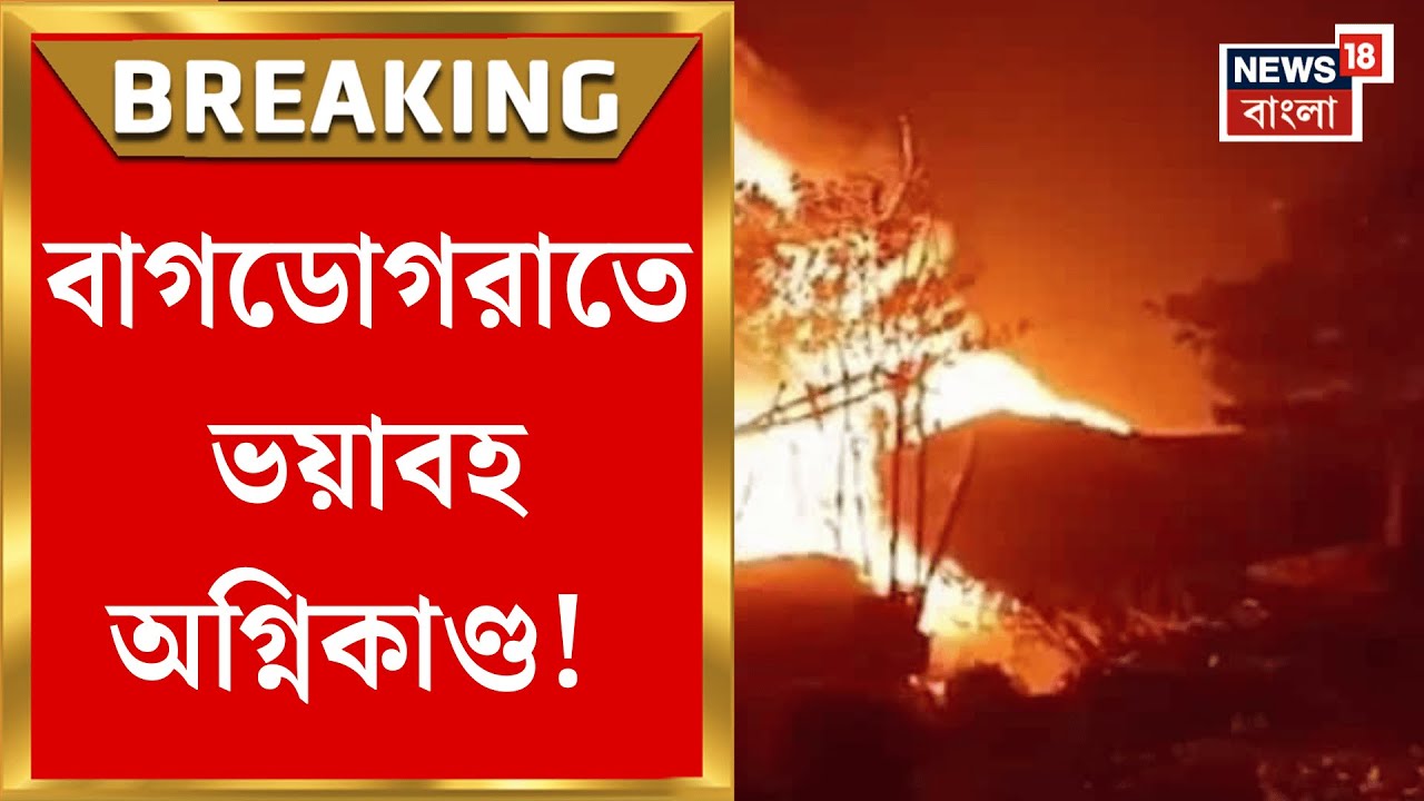 Bagdogra Fire News | ভোররাতে বাগডোগরাতে বিধ্বংসী আগুন, ভস্মীভূত বাড়ি-দোকান !| Bangla News