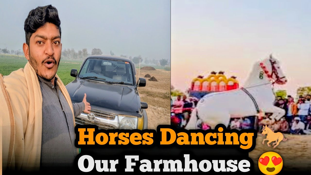 Amazing Scene at Our Farmhouse | Horses Dancing & Moter Ready 🐎🏍️❤️😱😍