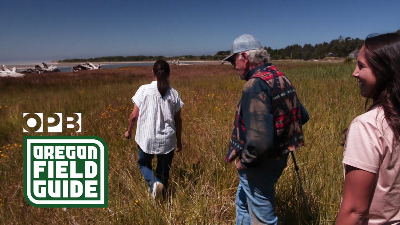 Clatsop-Nehalem tribes’ return of ancestral land