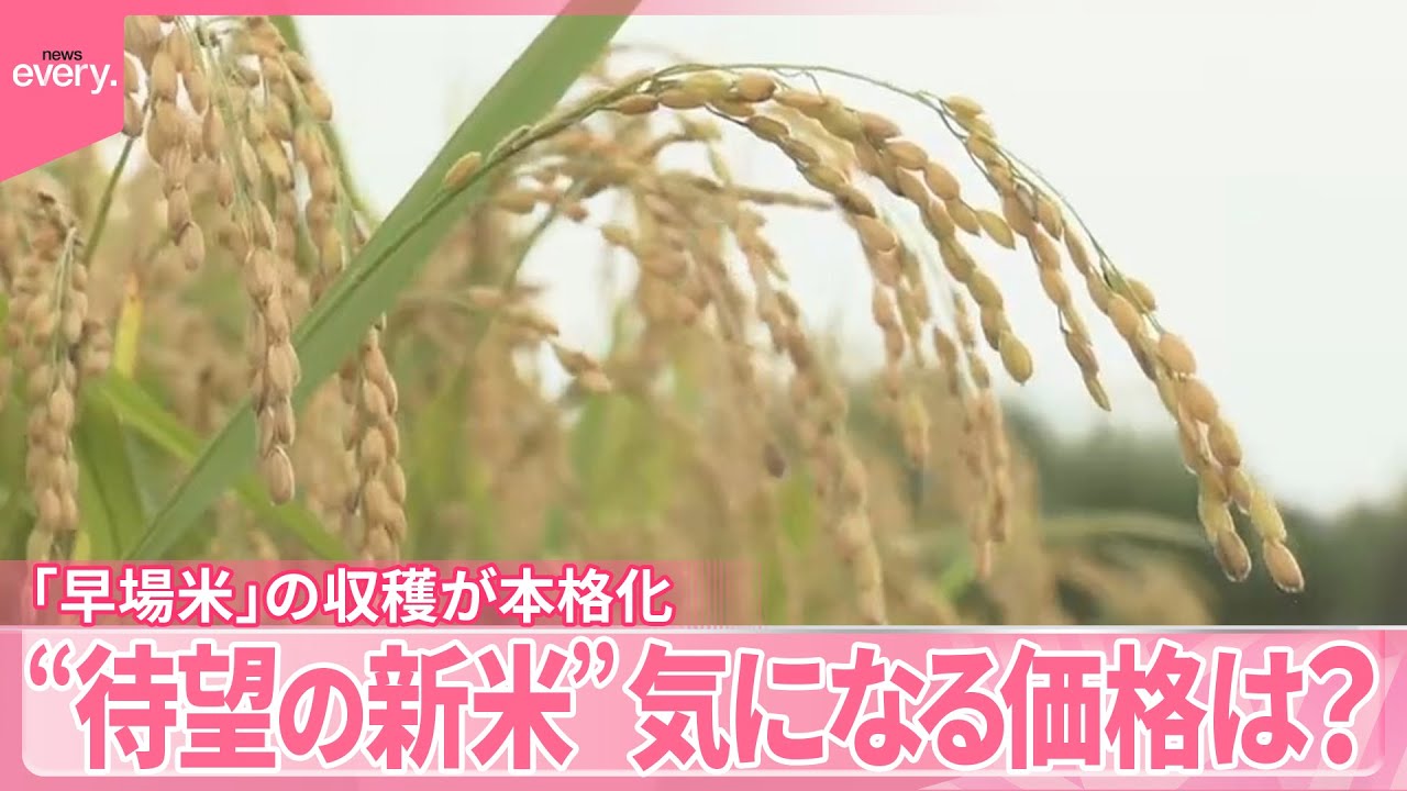 【“待望の新米”】気になる価格は？「早場米」の収穫が本格化  “取り合い”で高値も…
