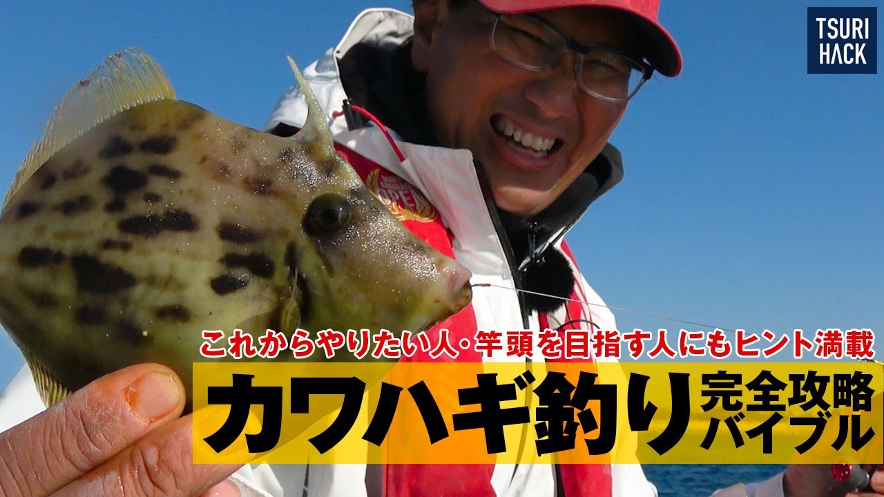 これを見れば全てがわかる-カワハギ釣り完全攻略バイブル 宮澤幸則解説