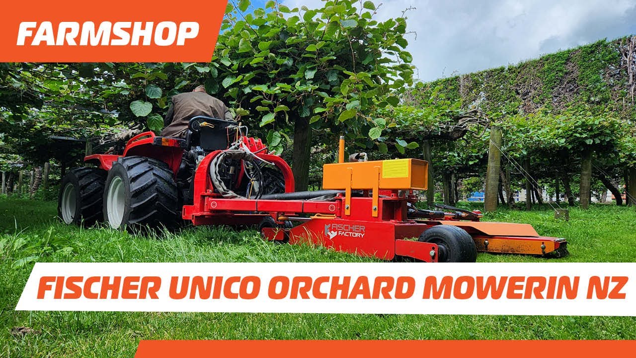 Fischer UNICO Orchard Mower inter row mowing in kiwifruit in NZ