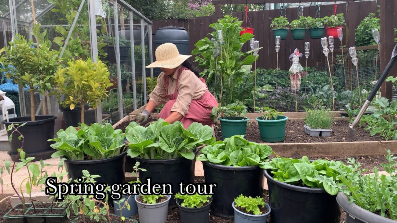 updated Spring garden tour 🌱🌱🌸