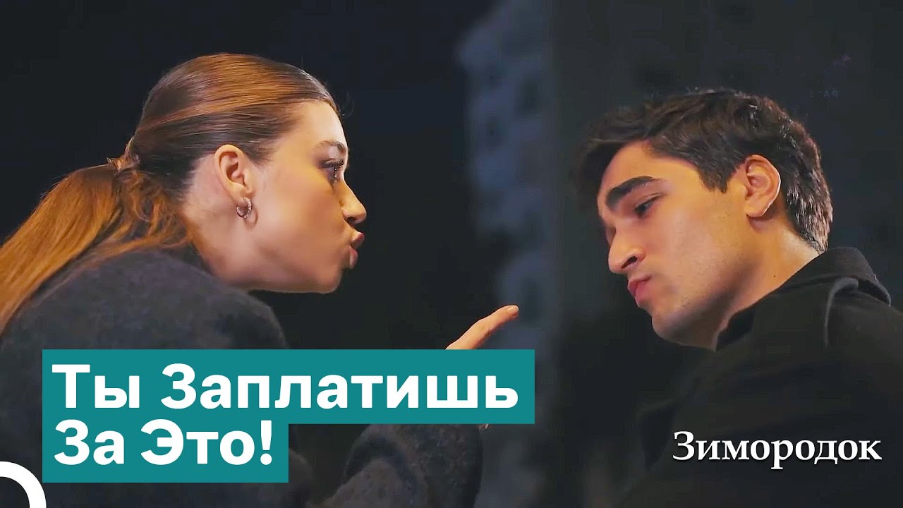 Жесткая Угроза От Сейран Фериту | Зимородок