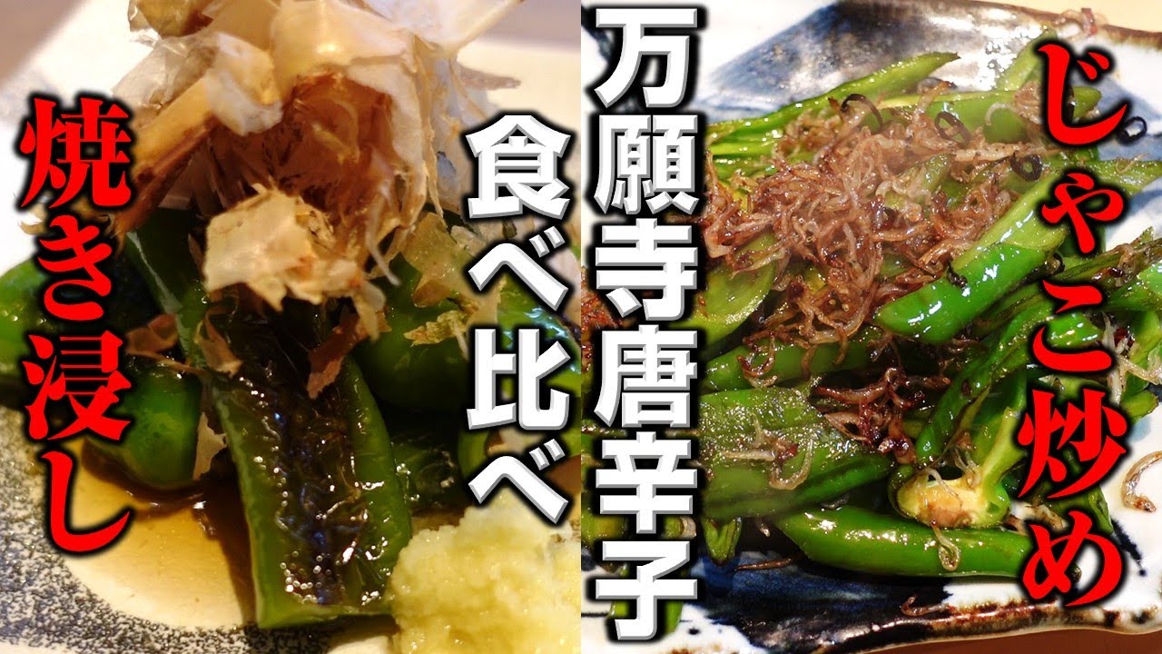 二つの味で楽しむ【簡単な万願寺唐辛子レシピ】焼き浸し＆じゃこ炒め