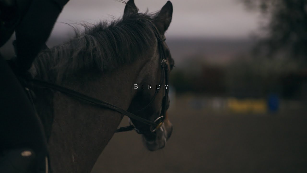 Horse Riding | Cinematic Short Film | SONY A7SIII