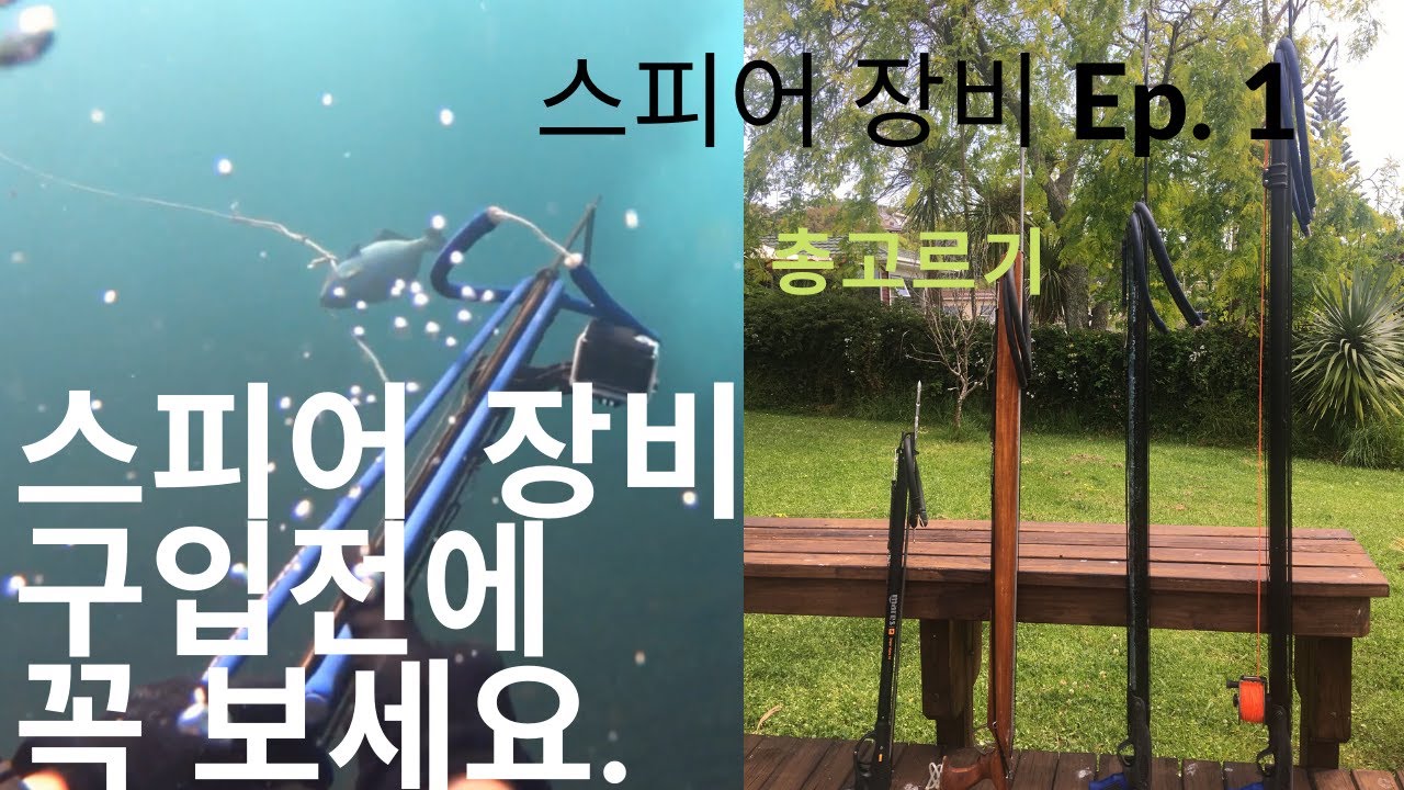 작살총에대한 기본 상식과, 기본 사냥법, 작살낚시 기초  #스피어피싱 #작살난다 #작살낚시 #Spearfishing
