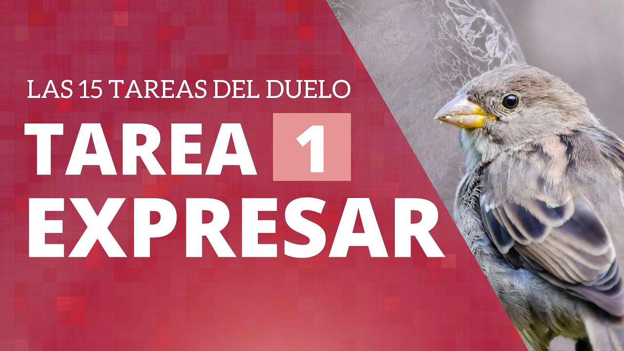 Tarea 1: EXPRESAR