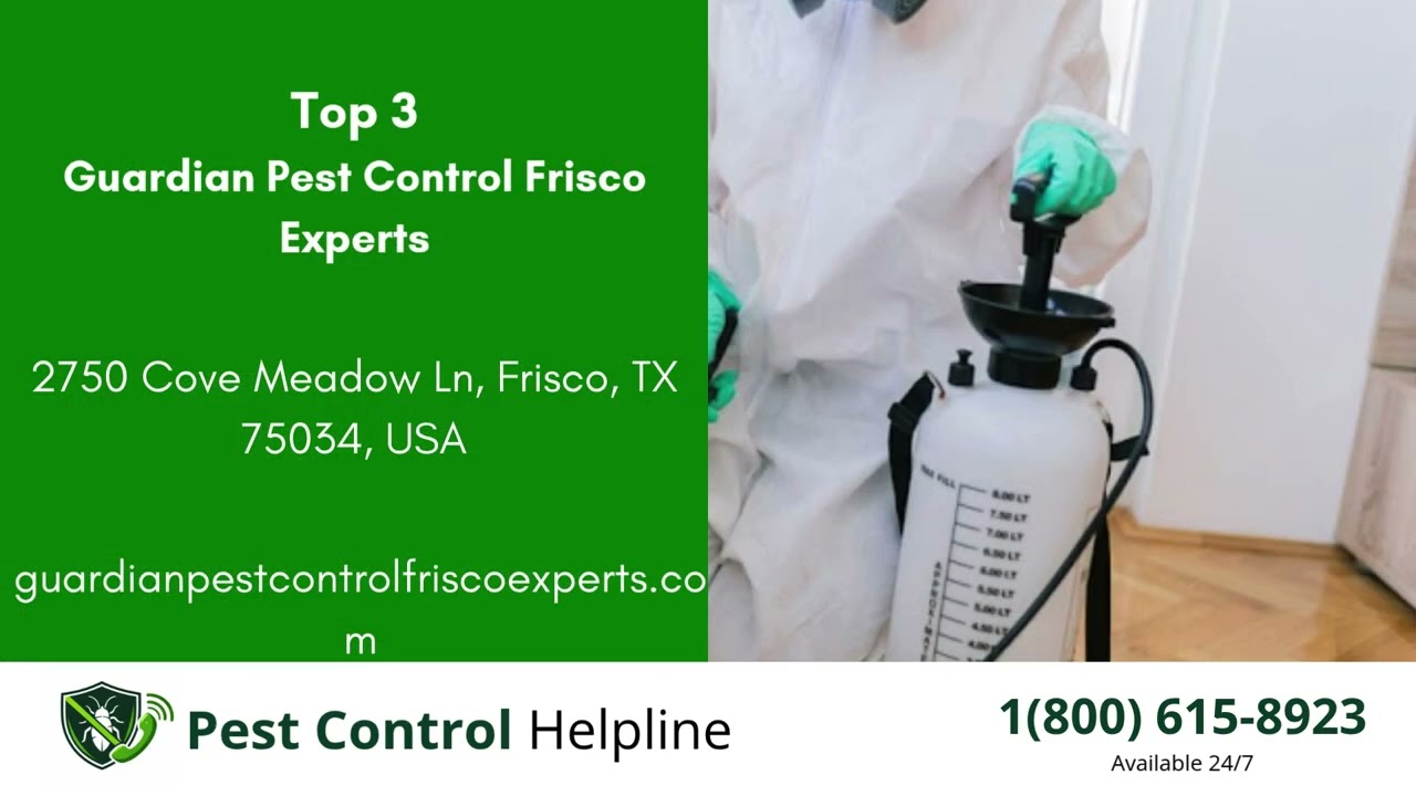 Top 3 Pest Control in Frisco