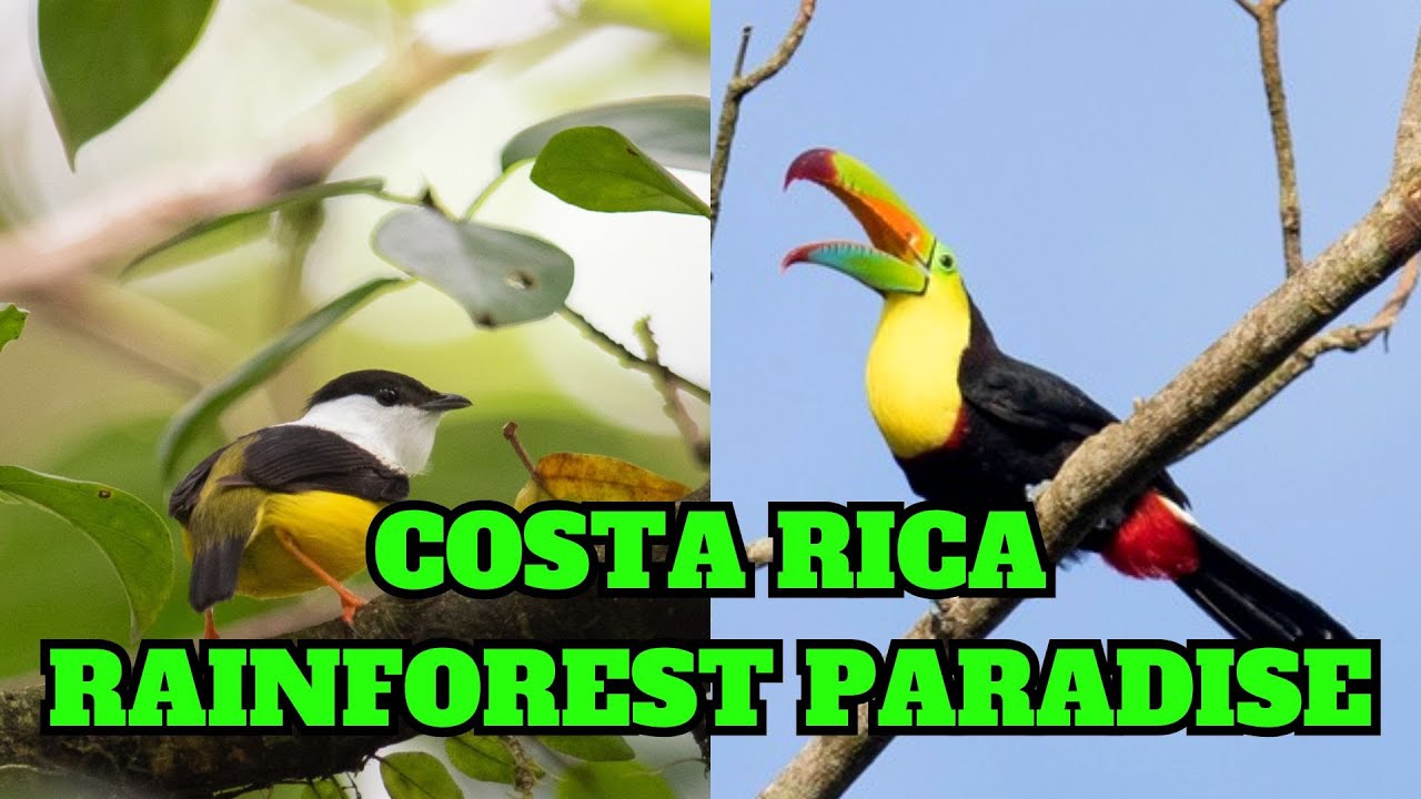 One of the most biodiverse places on earth!