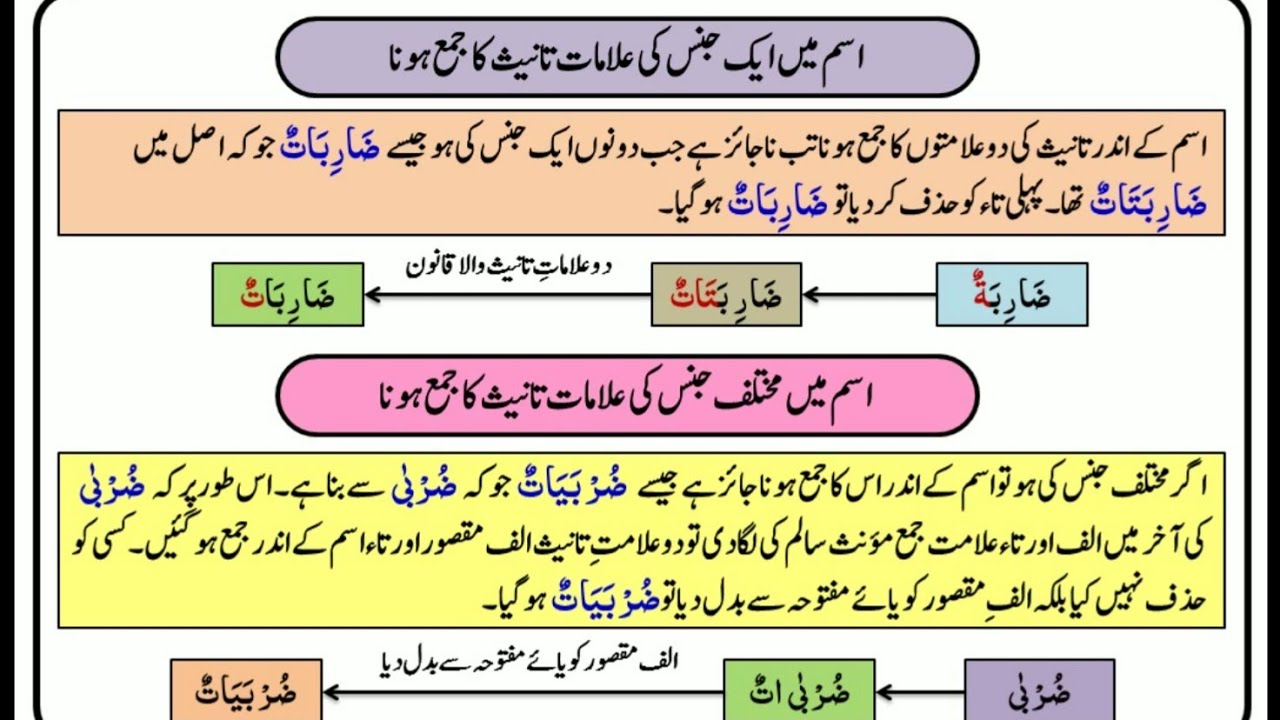 21-Irshad-Us-Sarf دو علامت تانیث والا قانون یا ضربن کا پہلا قانون
