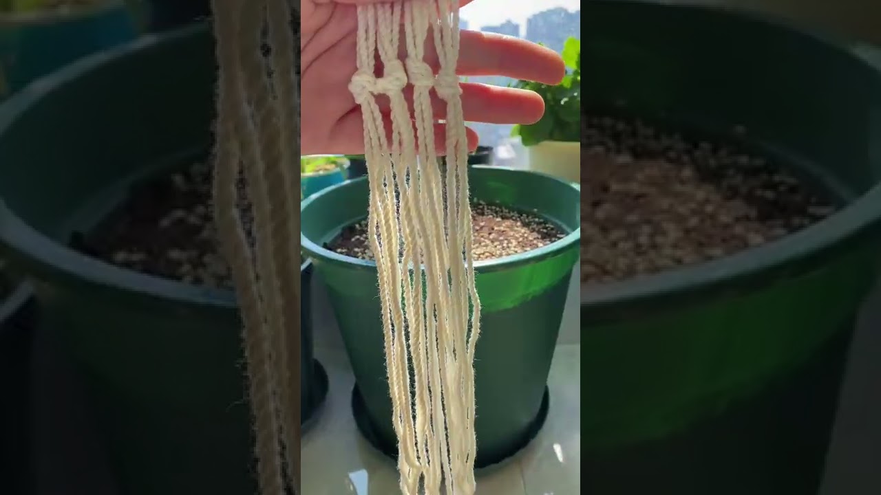 【蓝胖小花匠🎏】超级简单棉绳花盆吊篮教程来咯