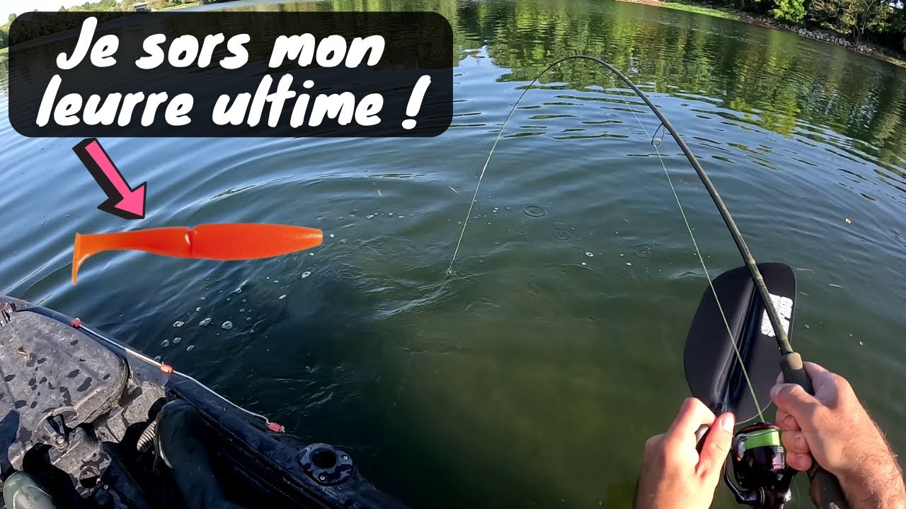 À COURT DE VIF JE SORS MON LEURRE ULTIME POUR PÊCHER LE SILURE À VUE !