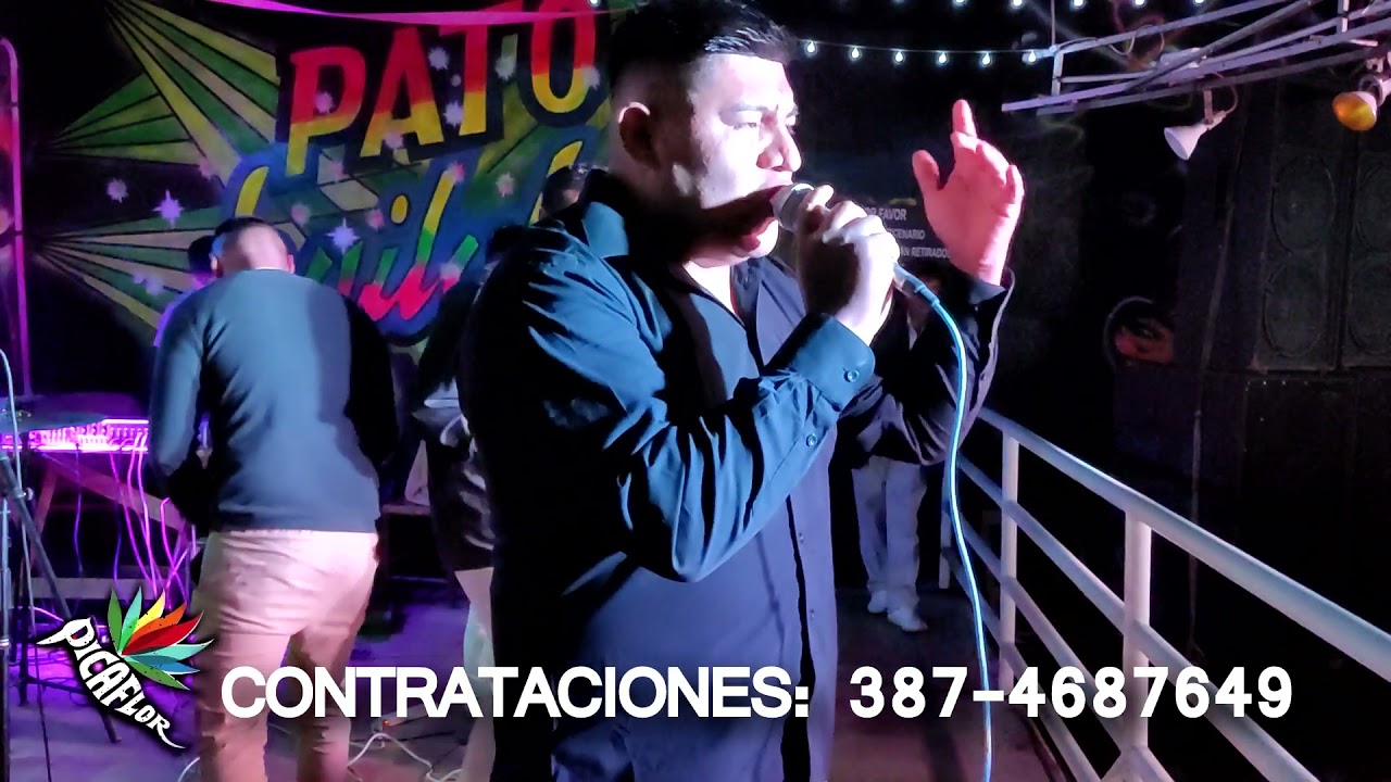 GRUPO PICAFLOR (en vivo) - PATITO BAILABLE 2021