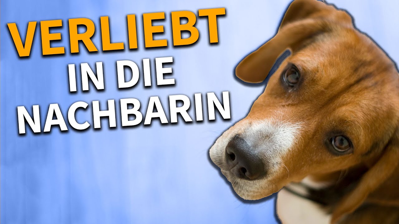 Sexualtrieb trotz Kastration - Testosteron und Sexualverhalten bei Rüden