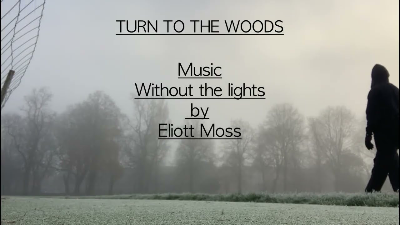 TURN TO THE WOODS