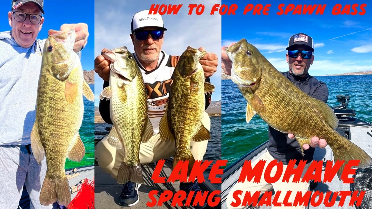 HOW TO FISH FOR SPRING SMALLMOUTH LAKE MOHAVE