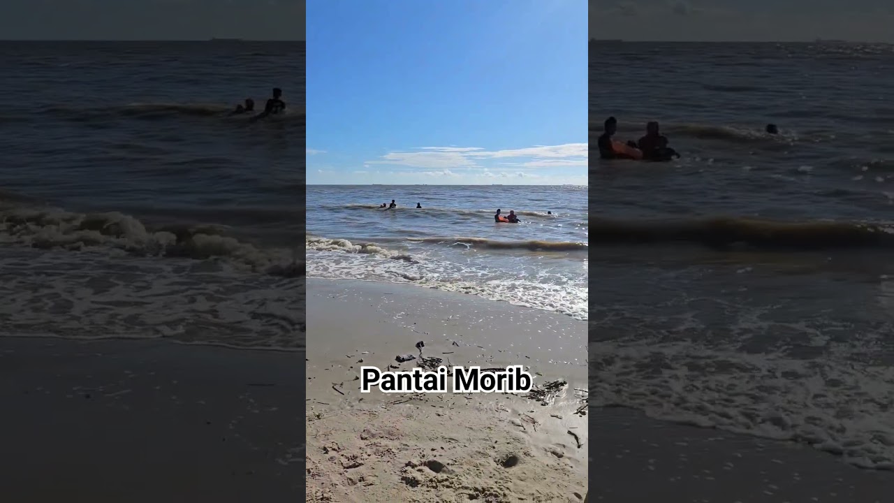 pantai morib #jalanjalan #travel #pantaimorib #pantai #selangor #horse #kuda