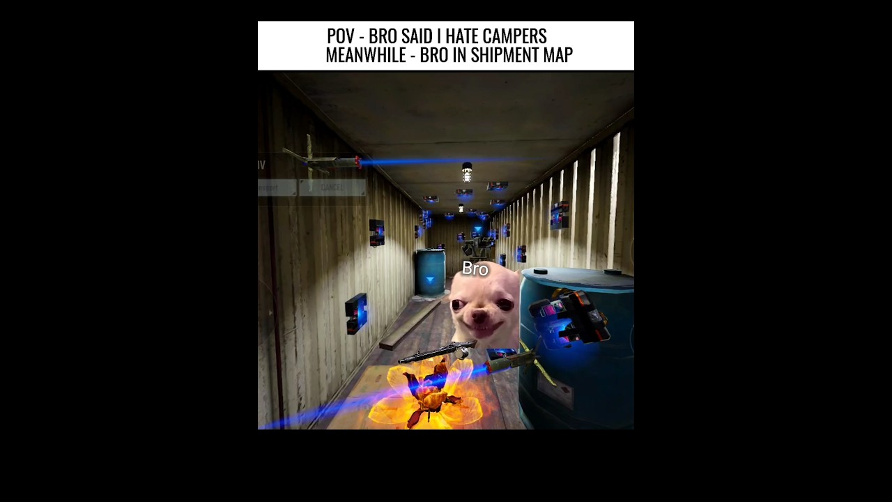 POV - Campers in Shipment Map 🤣