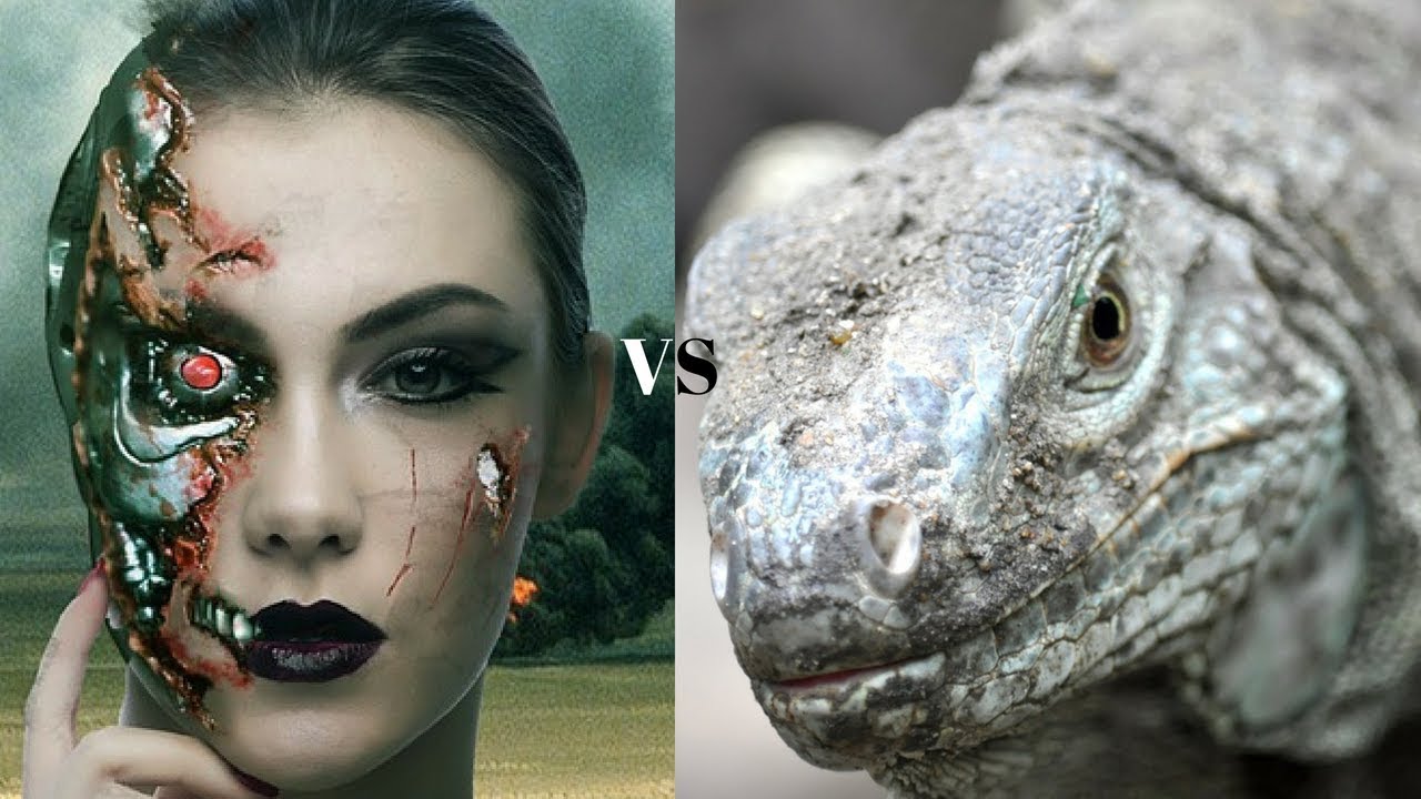 Bizarre Leela Chess Opening!: One of the longest chess games in engine history vs Komodo