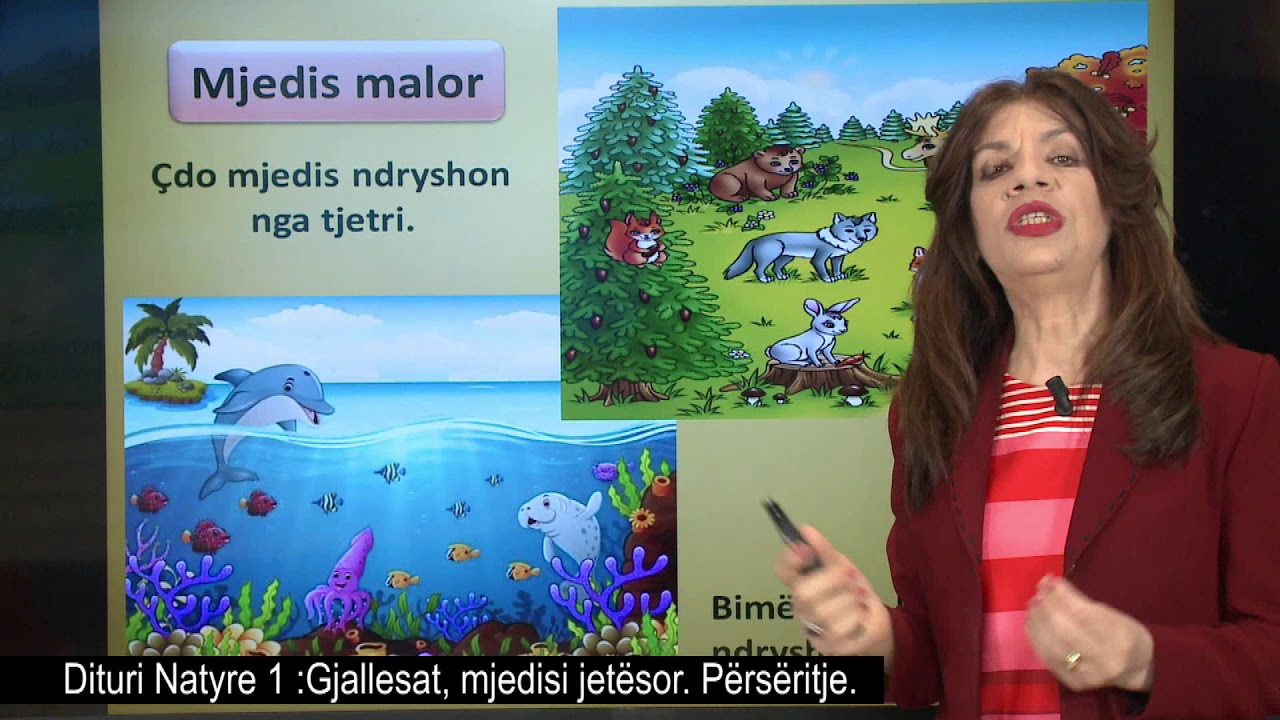 Dituri natyre 1-Gjallesat, mjedisi jet&euml;sor. P&euml;rs&euml;ritje.