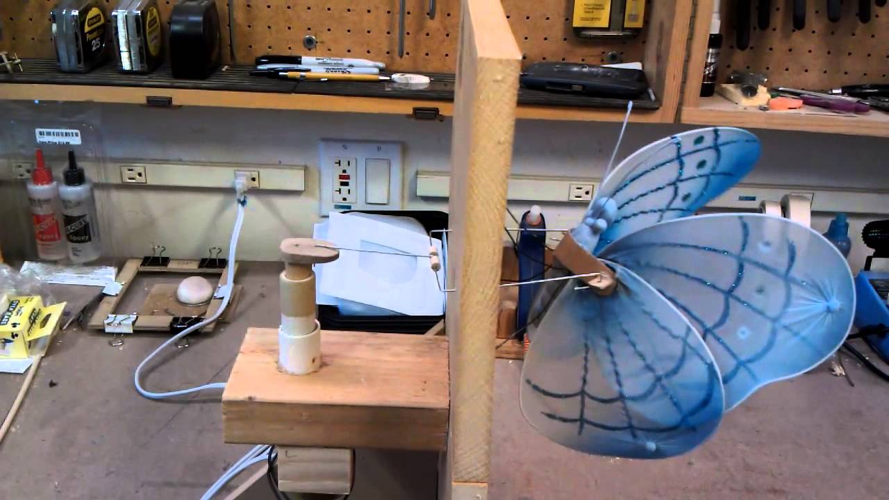 Butterfly Wing Flapping Test
