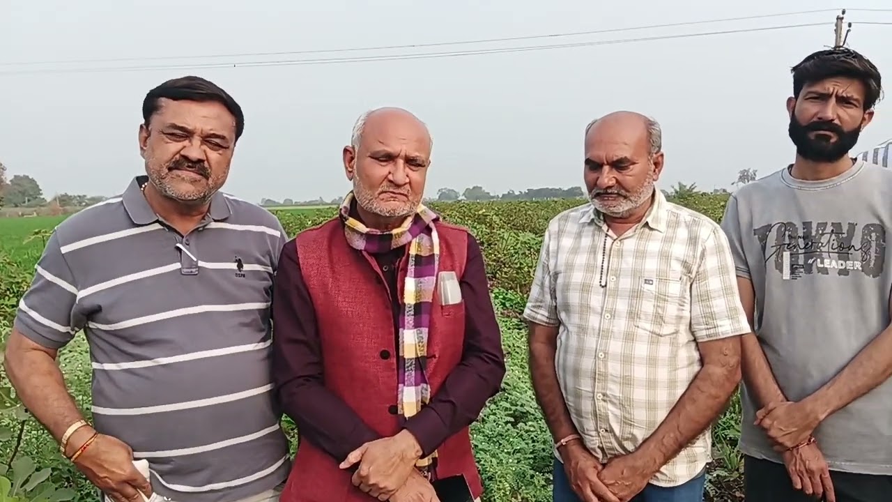 Businessmen also advance in fig farming||અંજીર ખેતીમાં બિઝનેસમેનો પણ આગળ||મોટા આકડીયા અમરેલી 