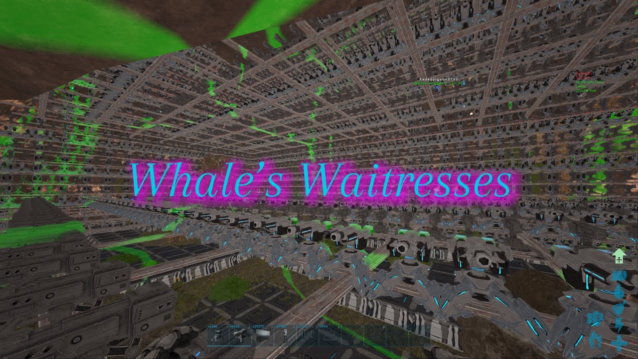 Whale’s Waitresses | rag lab | astro fiber S1