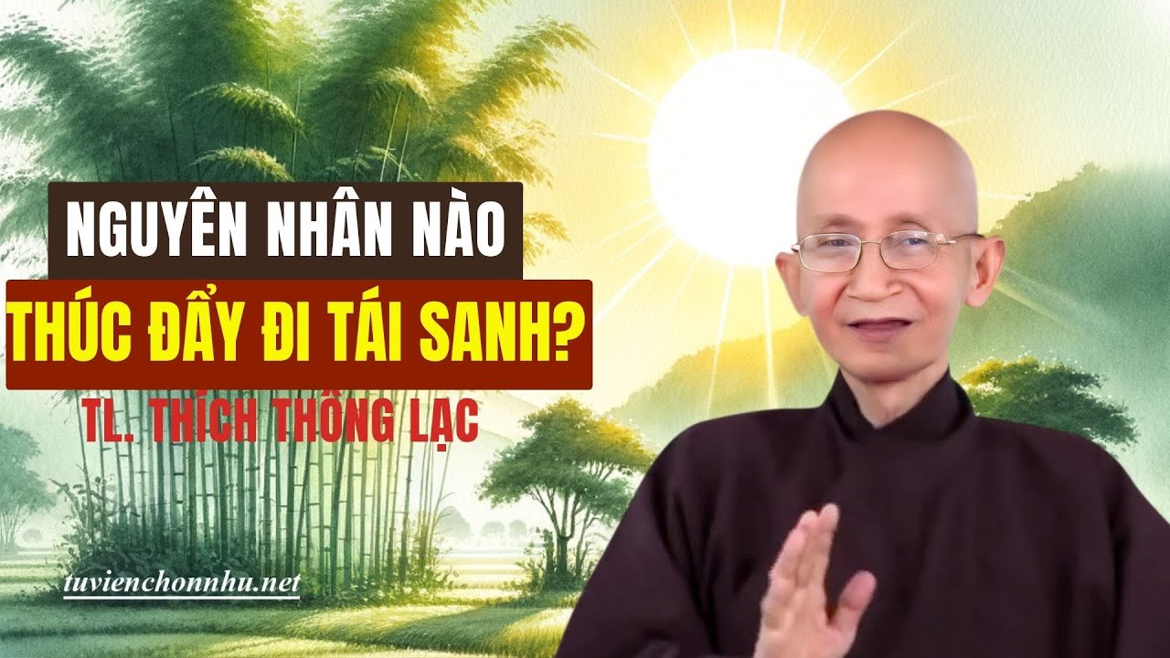Nguyên nhân nào thúc đẩy Đi Tái Sanh? Trưởng lão Thích Thông Lạc