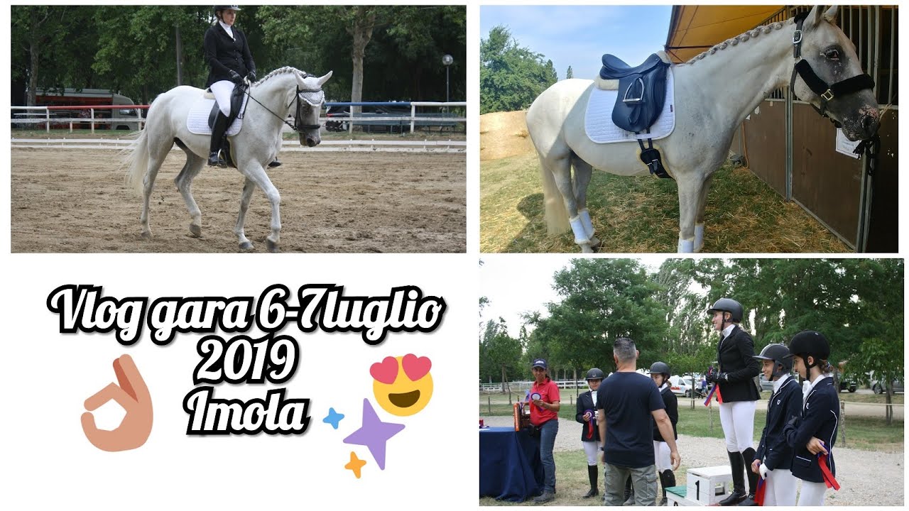Vlog prima gara di dressage  E100/E200 - 2° e 3° classificati😍 || I.K. equestrian