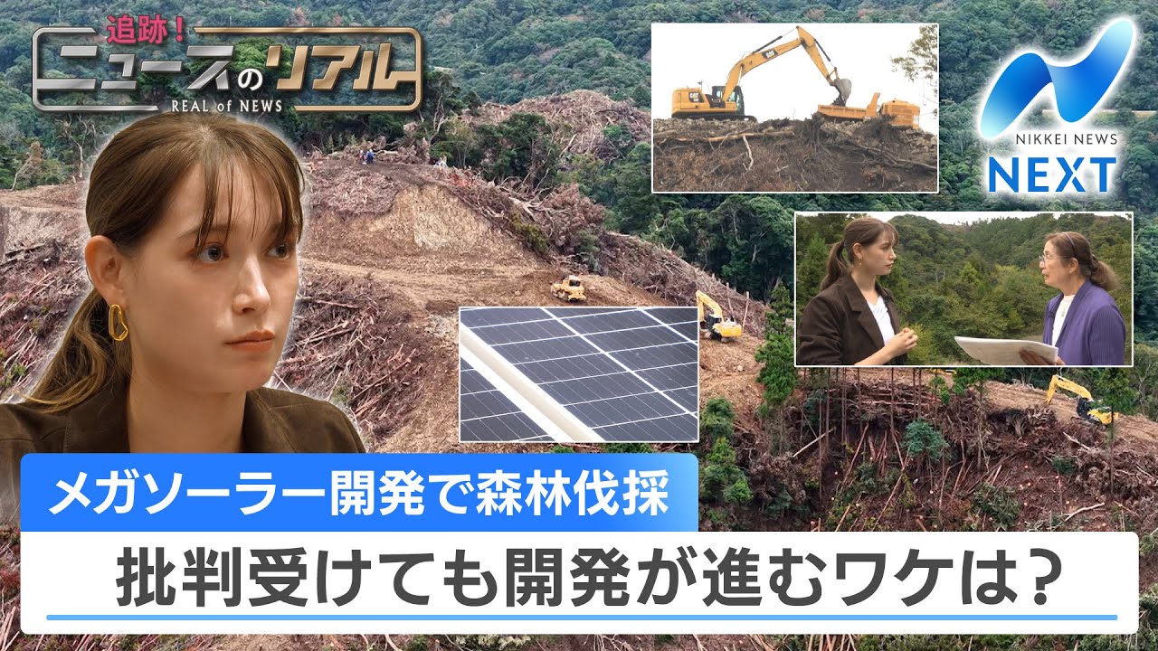 メガソーラー開発で森林伐採 批判受けても開発進むワケは？【NIKKEI NEWS NEXT】