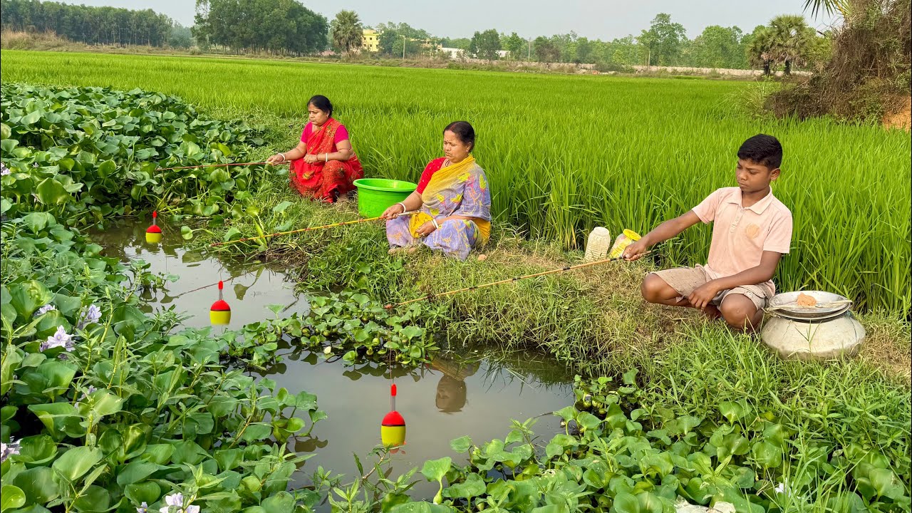 Fishing Video || Traditional lady is catching big fish in the canal using different types of food