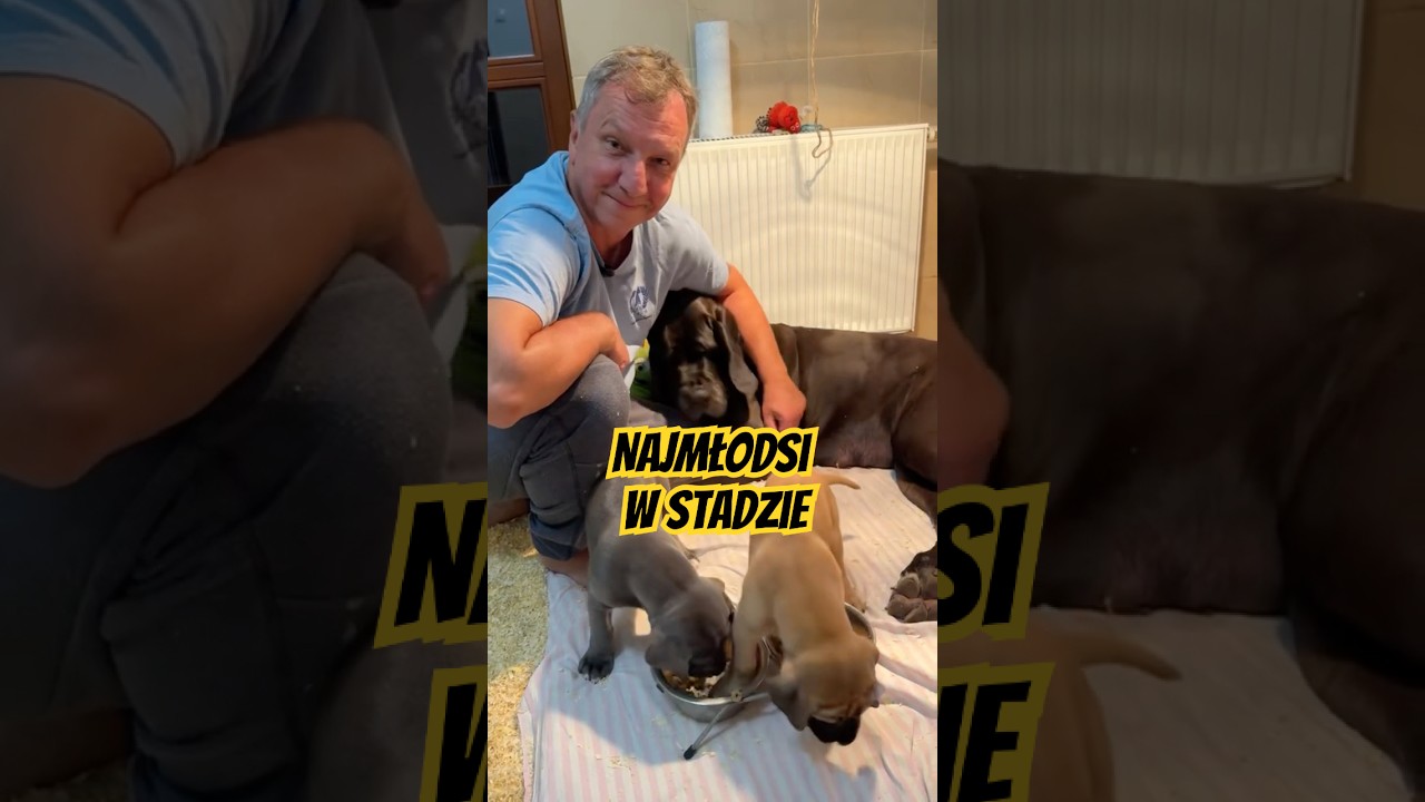 Cześć, poznajcie nasze maluchy 🐶