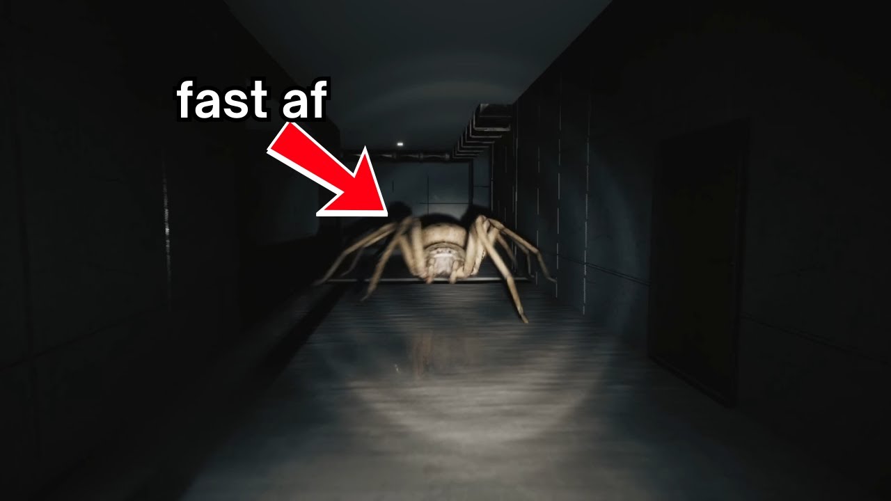 THIS SPIDER FAST AS HELL | Huntsman