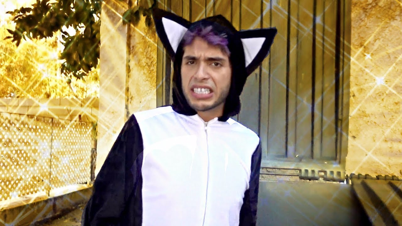 BRANDON ROGERS IS A FULL BLOWN CAT!! Ugh It's Joe