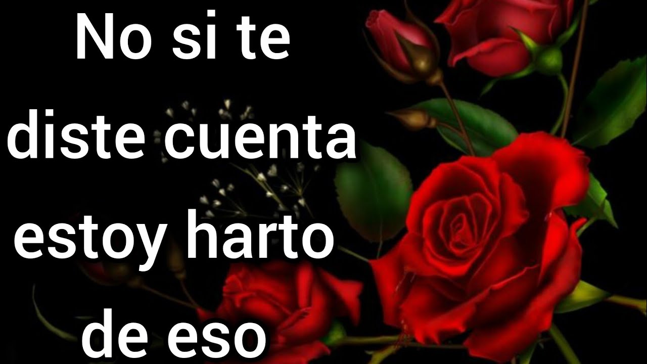 No si te diste cuenta estoy harto de eso 