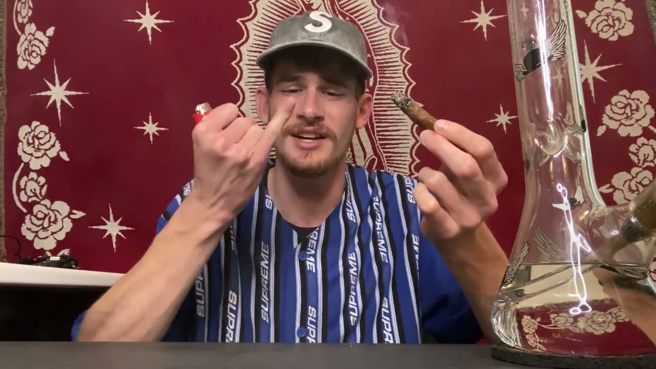 Strain Review (Sunset MAC Kush Mints by Capulator)