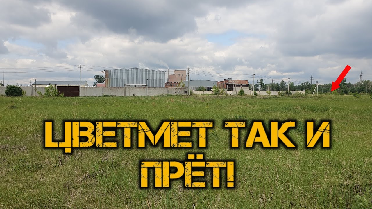 ВСЁ УСЕЯНО ЦВЕТМЕТОМ. Раскопки металлалома на свалке.