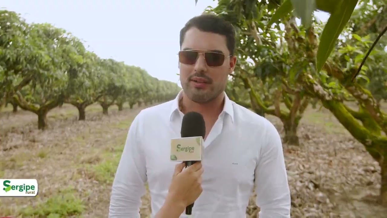 SERGIPE RURAL - PROGRAMA 12 - 2ª temporada