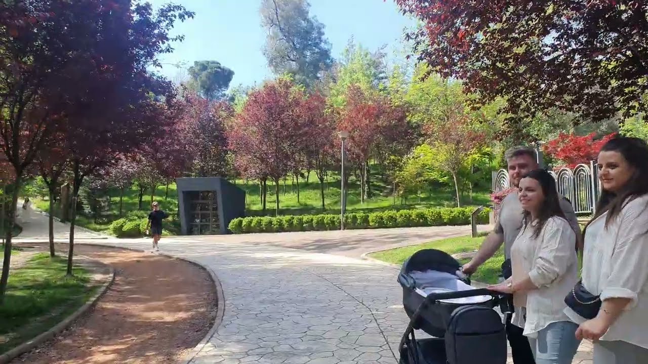 Parku më i madh i Tiranës, Liqeni Artificial.