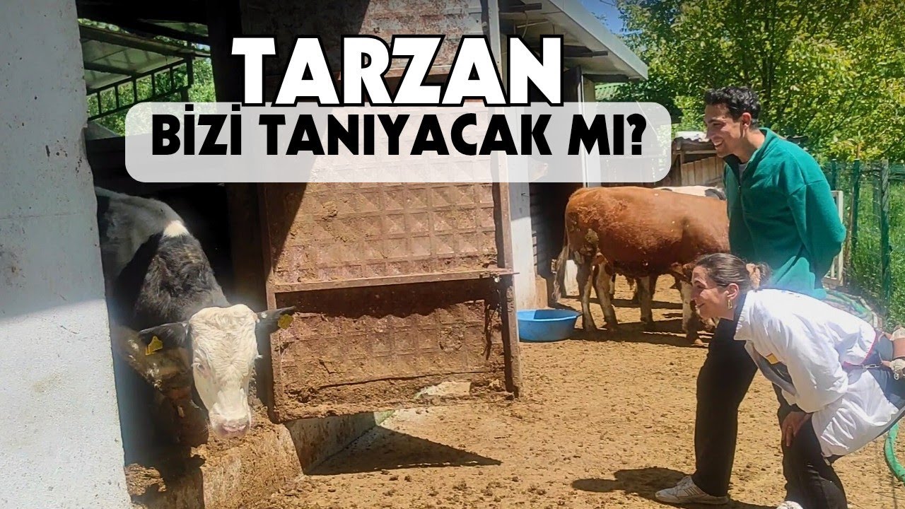 2 AY ÖNCE SATTIĞIMIZ DANAYI ZİYARET ETTİK | Şok Olduk!