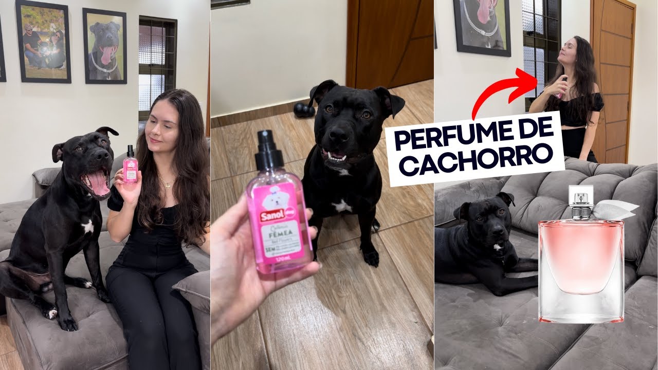 A CAMILA ESTÁ USANDO PERFUME DE CACHORRO! 😱 Red Flowers Sanol é IGUAL a La Vie Est Belle da Lancôme