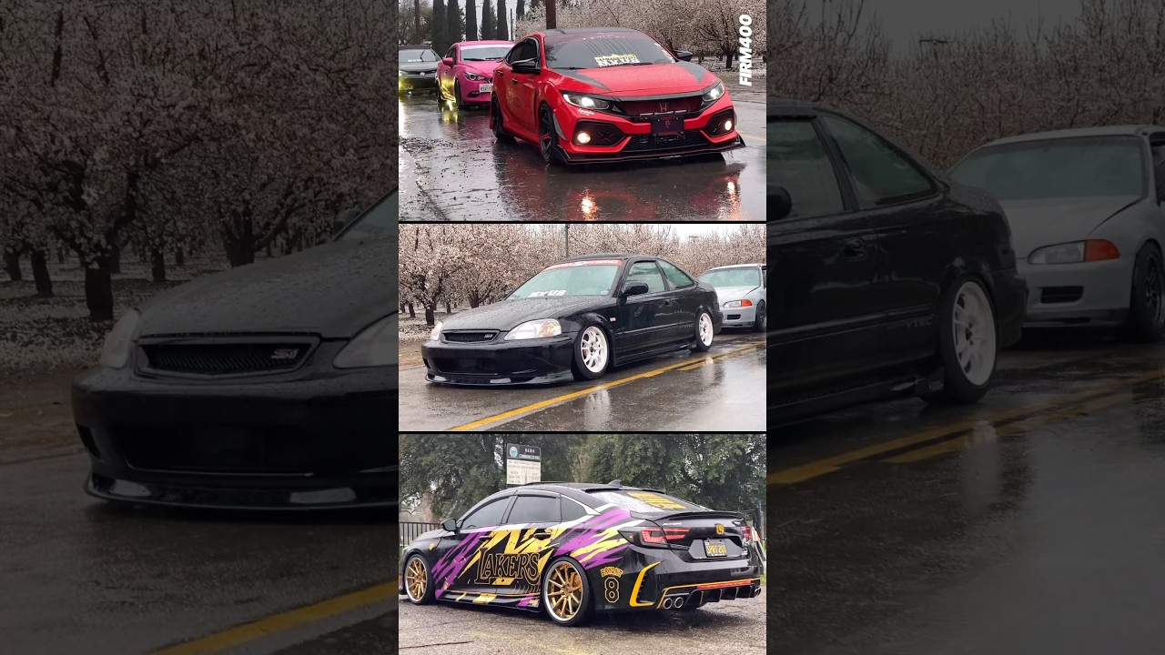 NVUS GATHERING 2024