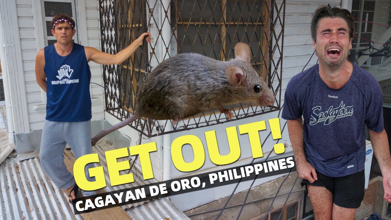 NEW ROOMMATE In The PHILIPPINES (Kicking Him Out Vlog!)