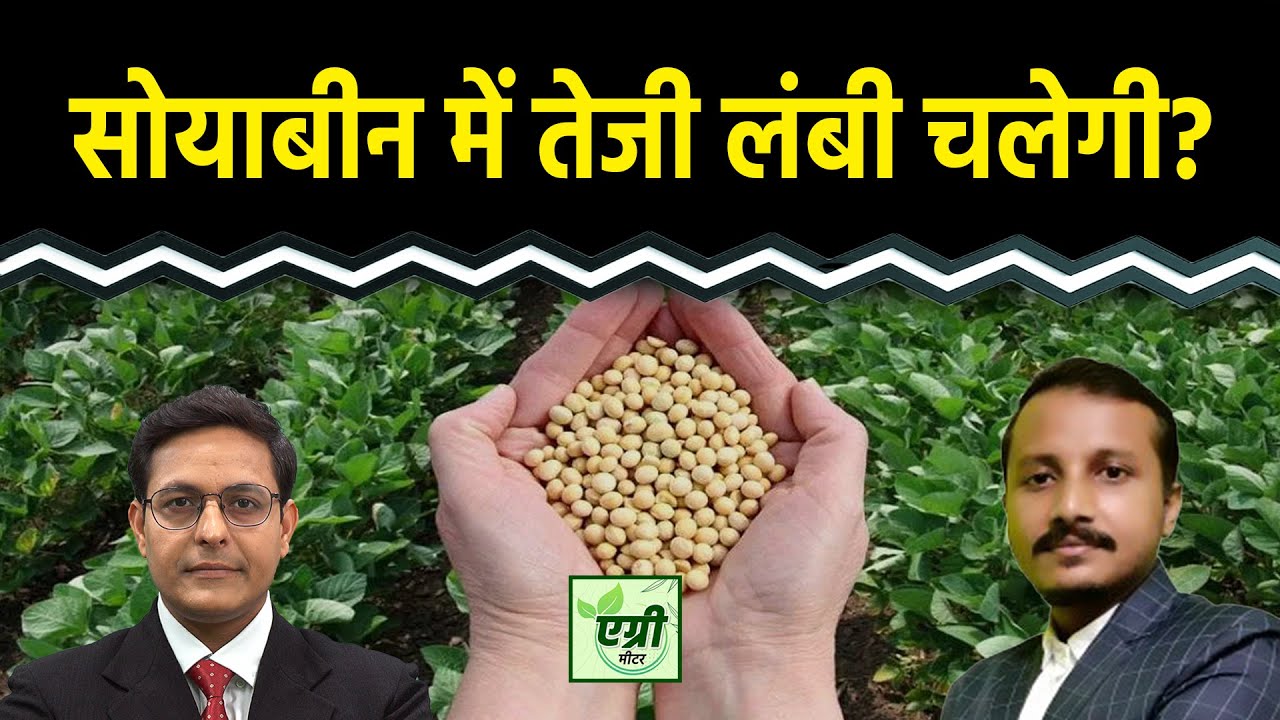 Commodity Market : Soybean उत्पादन को लेकर क्या है राजस्थान सरकार का अनुमान? Agri Commodity